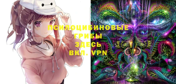 тгк Балахна