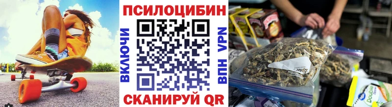 купить  цена  Октябрьск  Псилоцибиновые грибы GOLDEN TEACHER 